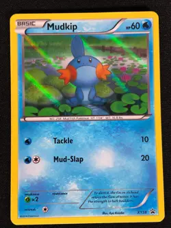 Pokemon Mudkip XY38 Holo (LP)! - Image 1