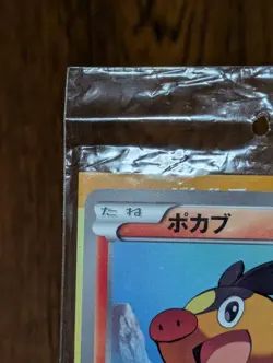 Pokemon Card Japanese Tepig UNIQLO Purchase Bonus Promo Card 019/BW-P shield - Image 3