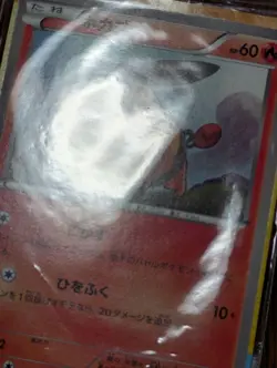 Pokemon Card Japanese Tepig UNIQLO Purchase Bonus Promo Card 019/BW-P shield - Image 5