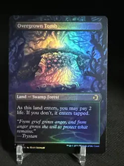 Overgrown Tomb - Borderless Rare - MTG #0350 FOIL - Lorwyn Eclipsed - Image 1