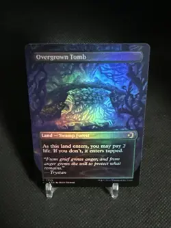 Overgrown Tomb - Borderless Rare - MTG #0350 FOIL - Lorwyn Eclipsed - Image 4