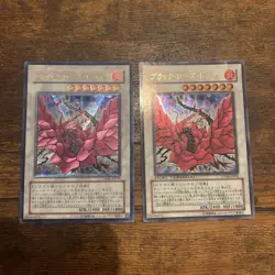 Yu-Gi-Oh! Yugioh Black Rose Dragon Ultimate Rare CSOC-JP039 etc. set - Image 1