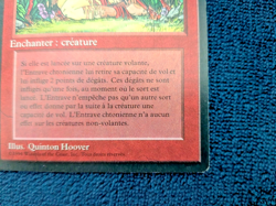 MTG Vintage Foreign Lot - Legends FBB Revised Arabian Nights - 25 Cards - Image 5