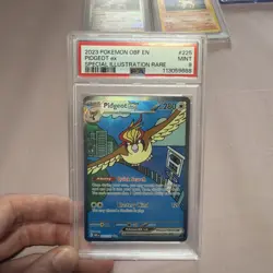 Pokemon Small Slab Lot - Image 1