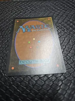 MTG - Worship - Silver Foil - Hildebrandt Art - Lord of the Rings - Magic - Image 3