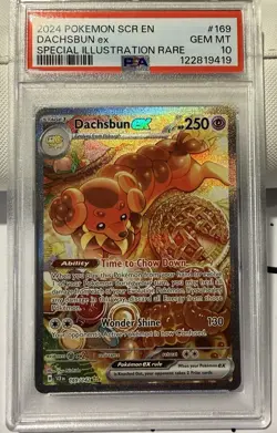 💎 2024 Pokemon SCR EN Dachsbun #169 Special Illustration Rare PSA 10 💎 - Image 1