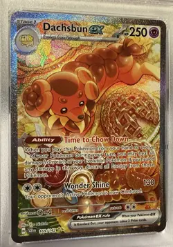 💎 2024 Pokemon SCR EN Dachsbun #169 Special Illustration Rare PSA 10 💎 - Image 2