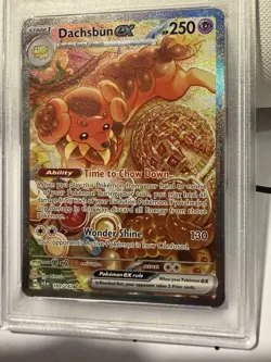 💎 2024 Pokemon SCR EN Dachsbun #169 Special Illustration Rare PSA 10 💎 - Image 3