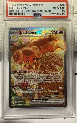 💎 2024 Pokemon SCR EN Dachsbun #169 Special Illustration Rare PSA 10 💎 - Image 4