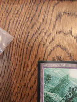 MTG Magic the Gathering Lake of the Dead Alliances Regular Card NM Condition - Image 2