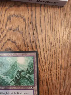 MTG Magic the Gathering Lake of the Dead Alliances Regular Card NM Condition - Image 3