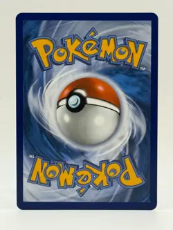 2025 Near Mint Pokemon Litleo 139/132 IR Mega Evolution ME01 Illustration NM - Image 2