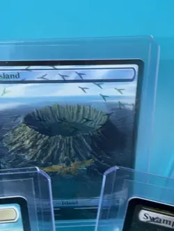 FULL ART CHOCOBO TRACK FOIL BASIC LANDS FINAL FANTASY MTG SET OF 5 - Image 5