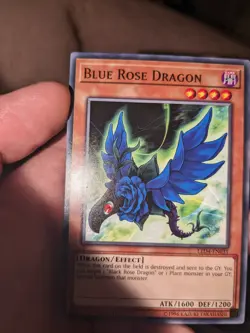 Blue Rose Dragon - LED4-EN031 - Common 1st Edition Yugioh - Image 1