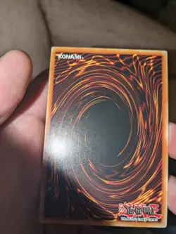 Blue Rose Dragon - LED4-EN031 - Common 1st Edition Yugioh - Image 2