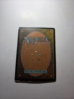 Lotus Vale Weatherlight Regular - Image 2