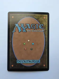 MTG Plains (DFT) (First-Place Foil) Aetherdrift Land 507 - Image 2