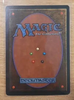 1995 MAGIC THE GATHERING HOMELANDS LEECHES TD25 - Image 2