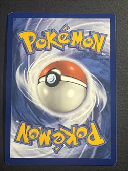 Skwovet 222/198 Pokemon TCG Illustration Rare Holo Foil Card Near Mint NM - Image 2