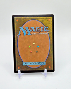 Omniscience (Anime Borderless) - Near Mint MTG #70 Wilds of Eldraine - Image 2