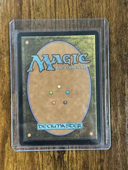 1x Gilt-Leaf Archdruid LP, English Morningtide MTG Magic - Image 2