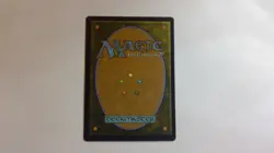 Wanderwine Prophets Mtg (Borderless) Special Guests - Image 2