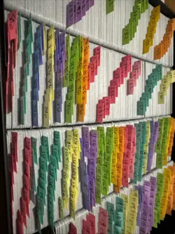 Pokemon TCG Lot Of 850 Common,uncommon Cards. All Labeled By Pokemon By Pokemon - Image 2