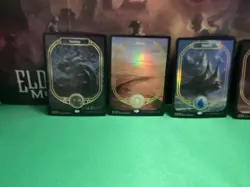 MTG UNSANCTIONED FOIL LANDS SET - Image 2