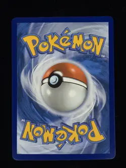 Oricorio 024 Promo Pokemon Mega Evolution 🔥🔥🔥 - Image 2