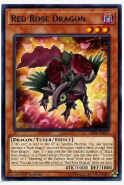Yu-Gi-Oh Red Rose Dragon - LED4-EN025 - Rare - 1st Edition M/NM X1 Fast Shipping - Image 1