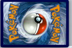 FIGHTING ENERGY 233/198 SECRET RARE CHILLING REIGN POKEMON HP - Image 2