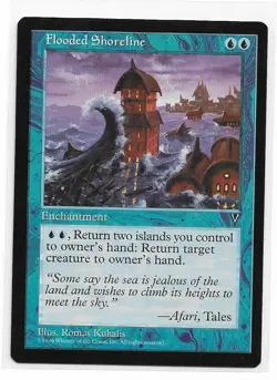 Magic the Gathering ~ MTG ~ 1x Flooded Shoreline ~ VISIONS ~ M/NM - Image 1