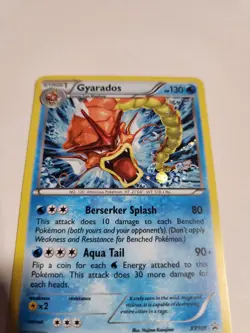 Gyarados XY109 XY Promo Holo Pokemon TCG - Image 2
