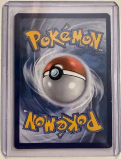 Pokemon Swampert EX Black Star Promo Holo Rare TCG Card XY55 - NM - Image 2