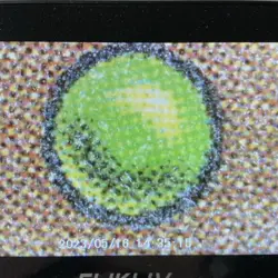 Bitterbloom Bearer SERIALIZED FOIL 356/500 Lorwyn Eclipsed - Image 5