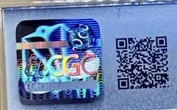 Pokemon TCG Conkeldurr v Full Art Holo Card Pokemon Go 074 /078 CGC Gem Mint 10 - Image 3