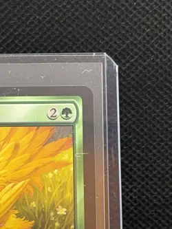 Traveling Chocobo M 0210 Regular Final Fantasy Magic the Gathering MTG Card NM - Image 3