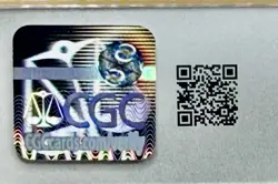 CGC 10 GEM MINT Voltorb 010/032 Card Classic Collection Holo Japanese Pokemon - Image 3