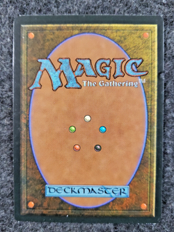 Altar of Bone Magic The Gathering Ice Age NM Never Played............ (DS3D1K3) - Image 2