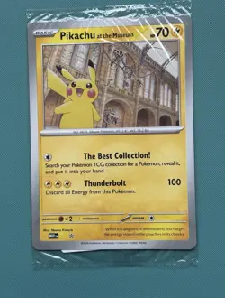 Pokemon x Natural History Museum Promo - Pikachu At The Museum In hand - Image 1