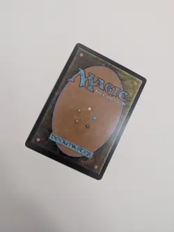 MTG - Tam, Mindful First-Year (Extended Art) - Lorwyn Eclipsed NM/M Condition - Image 3