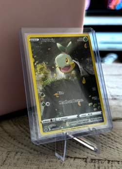 2023 Pokemon TCG Turtwig GG31/GG70 Crown Zenith: Galarian Gallery Holo - Image 1