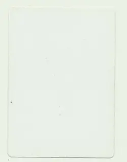 MTG Artist Proof Terese Nielsen Lifelink M10 Magic The Gathering Signed - Image 2
