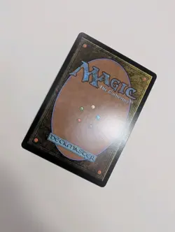 MTG - Soul Immolation (Showcase) - Lorwyn Eclipsed NM/M Condition - Image 3