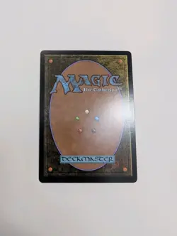 MTG - Soul Immolation (Showcase) - Lorwyn Eclipsed NM/M Condition - Image 4