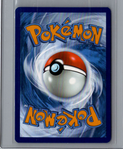 Riolu 010 Pokemon TCG Mega Evolution: Black Star Promo NM - Image 2