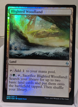 Blighted Woodland FOIL Battle for Zendikar NM Land Uncommon MTG - Image 2