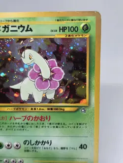 Pokemon TCG Meganium Japanese Pokemon Neo Genesis Holo Vintage WOTC #154 - Image 3