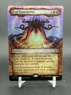 Soul Immolation Foil ShowcaseMTG Lorwyn Eclipsed M0321 - Image 1