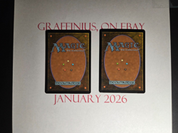 2x Worldgorger Dragon - Judgment - both LP - MTG Magic The Gathering - Image 2